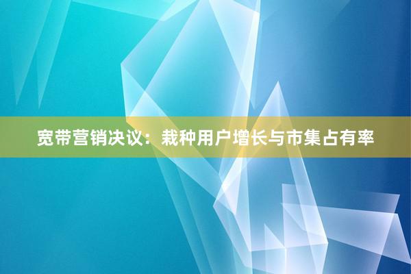 宽带营销决议：栽种用户增长与市集占有率